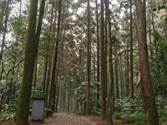 -狼山风景名胜区