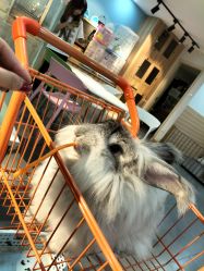 -Moni星球萌宠·小马宝莉·灵蛇·高端高阶全萌宠互动体验俱乐部(红豆国际广场店)
