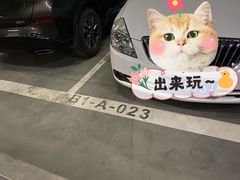 -龙湖南京江北天街
