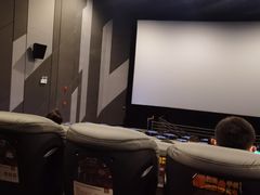 -上海金逸影城(静安大悦城店（原新恒星影城）)