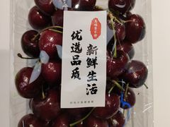 -中国人民解放军总医院