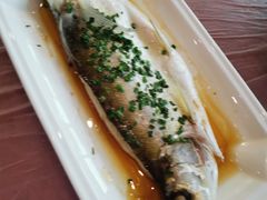 -明珠湖天鹅苑·农家菜馆