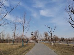 -西海子公园