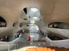 -美国自然历史博物馆