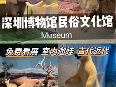 -深圳博物馆