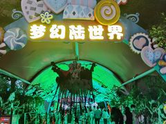 -巨鹏飞梦幻海岸