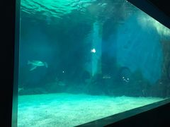 -常州海昌海洋探索馆