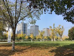-尚贤河湿地