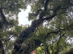 -桂林独秀峰王城景区