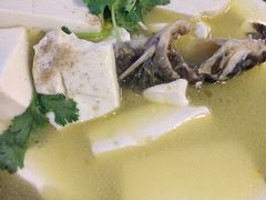 昂公鱼豆腐汤-鑫福楼农家菜