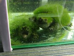 -海底捞火锅(威高广场店)