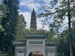 -顺峰山公园