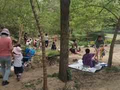 -白水寺森林公园