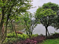 -枫香湖儿童公园