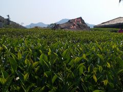 -优游吧斯邹族文化部落