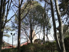 -大雁塔北广场音乐喷泉