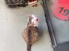 -傅先生东北菜(青年城店)