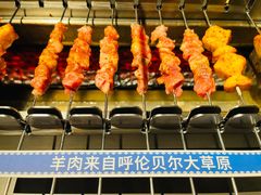 -很久以前羊肉串(朝阳路店)