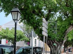 -安德鲁饼店(总店)