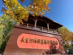 -永定河休闲森林公园