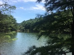 -四明山国家森林公园