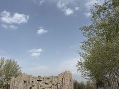 -森林公园(尖草坪区)