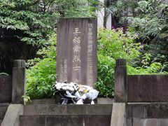 -桂湖森林公园