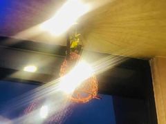 -鲜鲜·鲅鱼圈海鲜(于洪店)