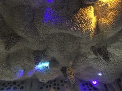 -御池园(顾村公园店)