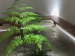 -光作面包Voila Lumiere(中山店)