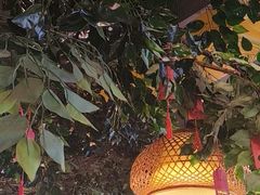 -成老灶火锅鸡(平山店)