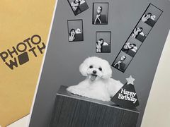 -PHOTOWITH 自助照相馆