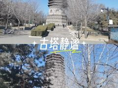 -玲珑塔公园