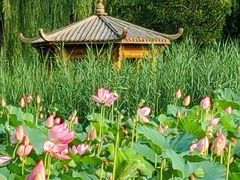 -太阳宫公园