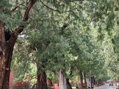 -北京市劳动人民文化宫(太庙)