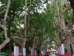 -浙江省杭州高级中学(贡院校区)