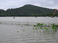-顺峰山公园