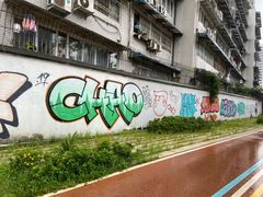 -成都市活水公园