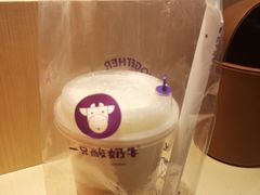 -一只酸奶牛(时代天街A馆店)