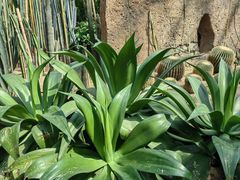 -祥源·阜阳生态乐园