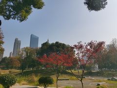 -后襄河公园