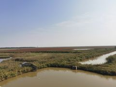 -盐城丹顶鹤湿地生态旅游区