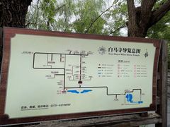 -洛阳白马寺