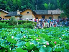 -韶山毛泽东同志故居