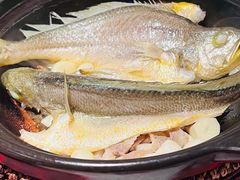 金榜黄花鱼-恭喜上堓砂锅焗·海鲜大排档(闵行龙湖店)