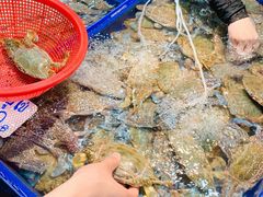 -芭提雅海鲜市场