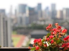 窗外景色-萨芭蒂高空花园餐酒吧