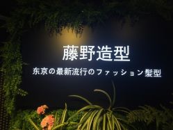 点击看大图 -藤野造型