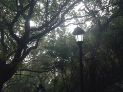 -平湖九龙山旅游度假区