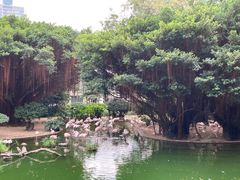 -九龙公园